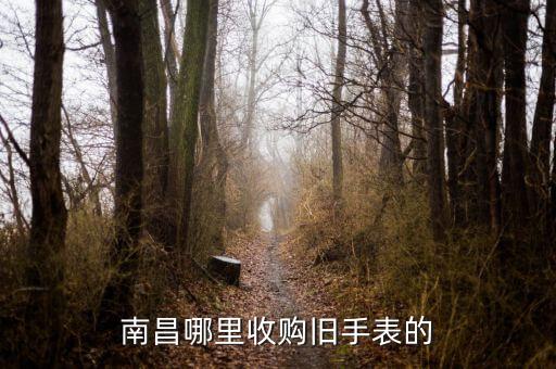 南昌哪里收购旧手表的