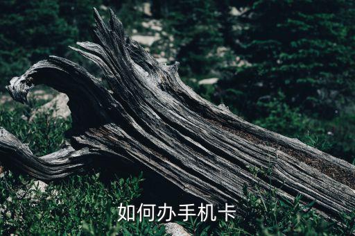 如何办手机卡