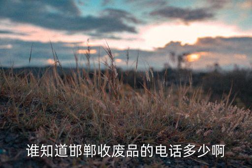 谁知道邯郸收废品的电话多少啊