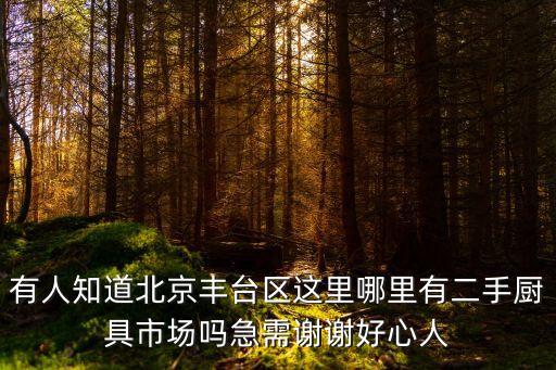有人知道北京丰台区这里哪里有二手厨具市场吗急需谢谢好心人