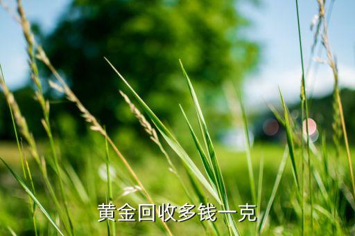 黄金回收多钱一克