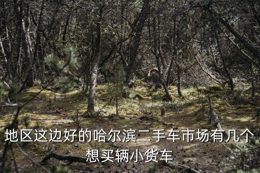 地区这边好的哈尔滨二手车市场有几个想买辆小货车