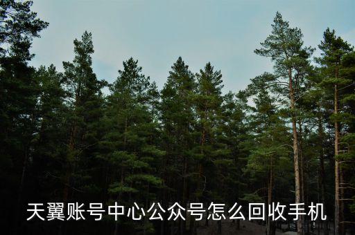 天翼账号中心公众号怎么回收手机