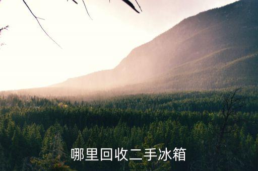 哪里回收二手冰箱