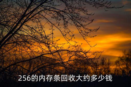 256的内存条回收大约多少钱