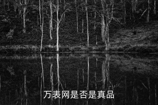 万表网是否是真品