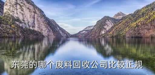 东莞的哪个废料回收公司比较正规