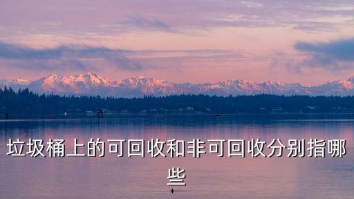 垃圾桶上的可回收和非可回收分别指哪些