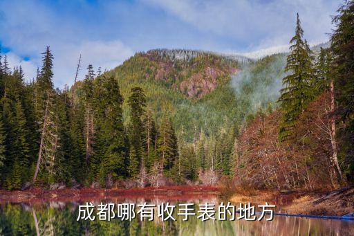 成都哪有收手表的地方