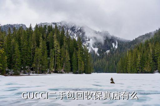 GUCCI二手包回收保真店有么