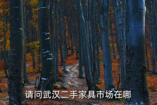 请问武汉二手家具市场在哪