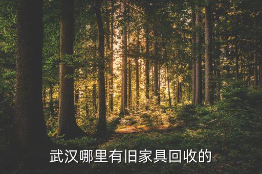 武汉哪里有旧家具回收的