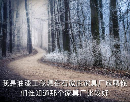 我是油漆工我想在石家庄家具厂应聘你们谁知道那个家具厂比较好