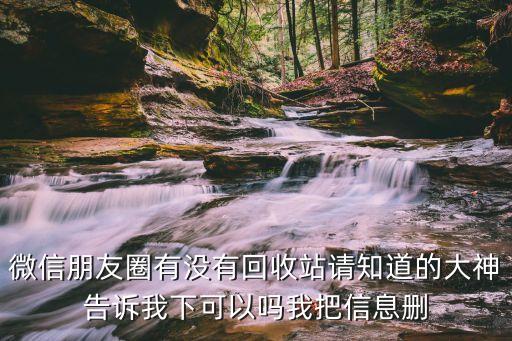 微信朋友圈有没有回收站请知道的大神告诉我下可以吗我把信息删
