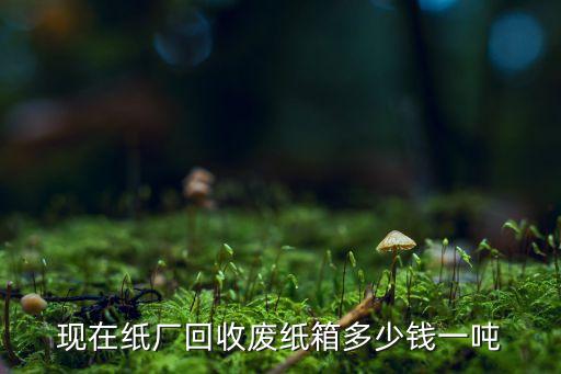 现在纸厂回收废纸箱多少钱一吨