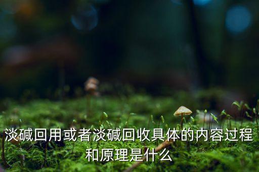 淡碱回用或者淡碱回收具体的内容过程和原理是什么