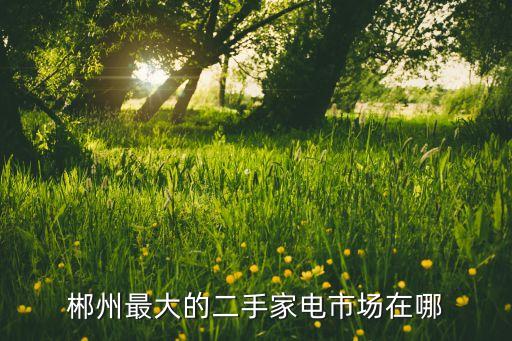 郴州最大的二手家电市场在哪