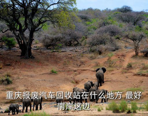 重庆回收，重庆报废汽车回收站在什么地方 最好南岸这边