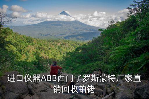 进口仪器ABB西门子罗斯蒙特厂家直销回收铂铑