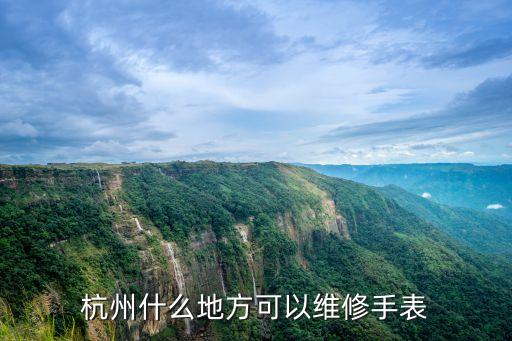杭州什么地方可以维修手表