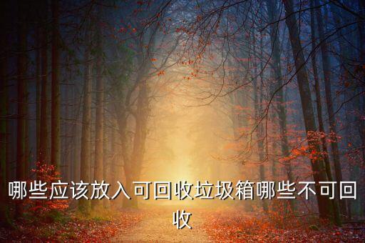 哪些应该放入可回收垃圾箱哪些不可回收