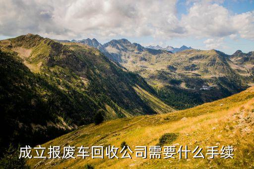 成立报废车回收公司需要什么手续