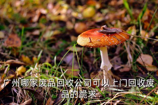 广州哪家废品回收公司可以上门回收废品的跪求
