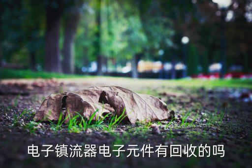 电子镇流器电子元件有回收的吗