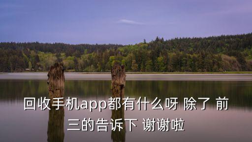 回收手机app都有什么呀 除了 前三的告诉下 谢谢啦
