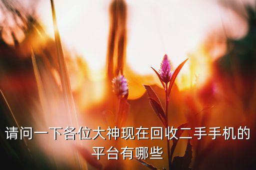 回收二手手机报价软件有哪些，请问一下各位大神现在回收二手手机的平台有哪些