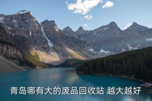 青岛哪有大的废品回收站 越大越好