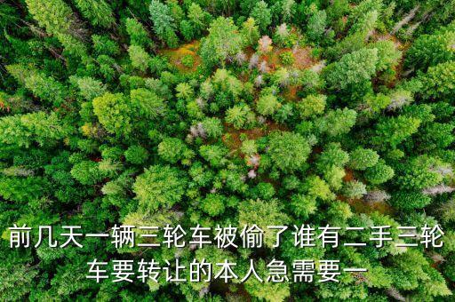 前几天一辆三轮车被偷了谁有二手三轮车要转让的本人急需要一