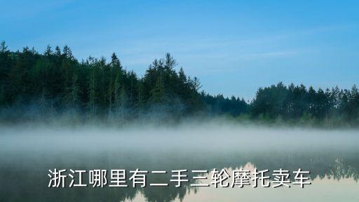 浙江哪里有二手三轮摩托卖车