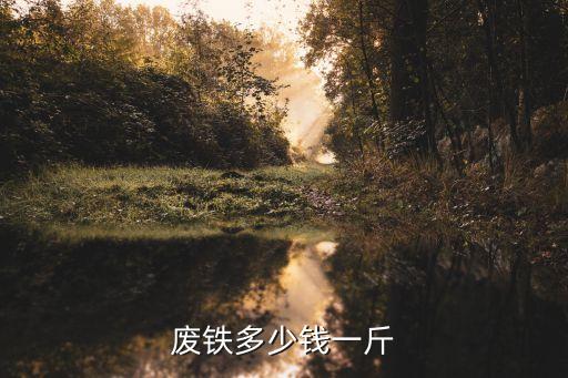 废铁多少钱一斤