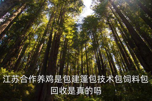 江苏合作养鸡是包建篷包技术包饲料包回收是真的吗