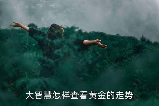 大智慧怎样查看黄金的走势
