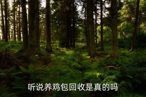 养鸡包回收是真是假，江苏合作养鸡是包建篷包技术包饲料包回收是真的吗