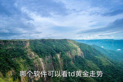 哪个软件可以看td黄金走势