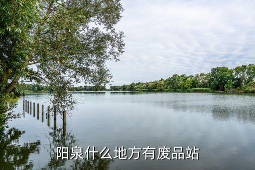 阳泉废品回收站有哪些，阳泉什么地方废品站多