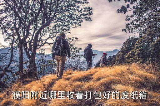 濮阳附近哪里收着打包好的废纸箱