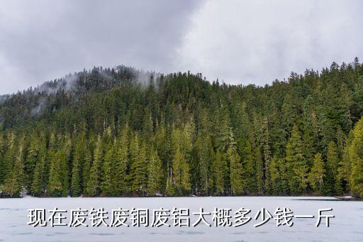 现在废铁废铜废铝大概多少钱一斤