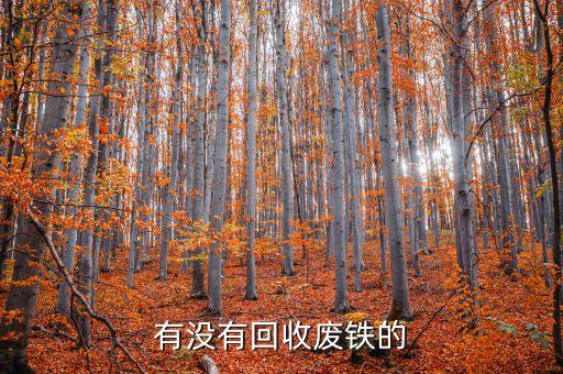 有没有回收废铁的