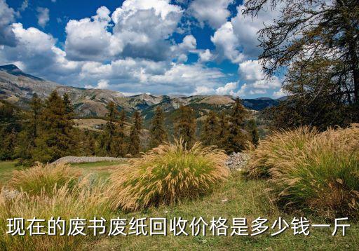 现在的废书废纸回收价格是多少钱一斤