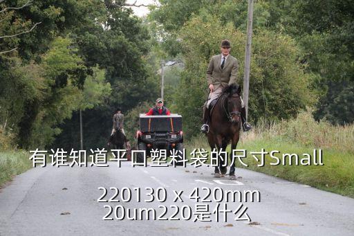 有谁知道平口塑料袋的尺寸Small  220130 x 420mm 20um220是什么
