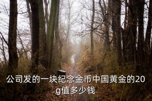 公司发的一块纪念金币中国黄金的20g值多少钱