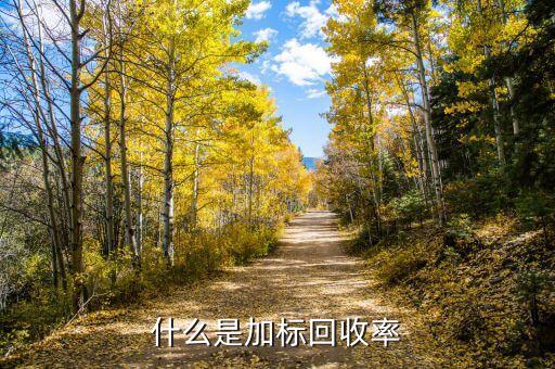 加标回收率，加标回收率越高越好吗