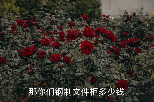 钢制文件柜价格，那你们钢制文件柜多少钱