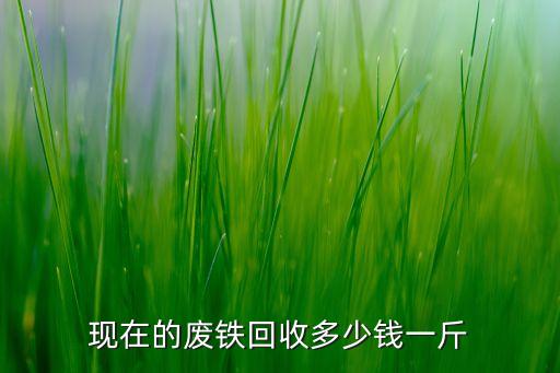 现在的废铁回收多少钱一斤