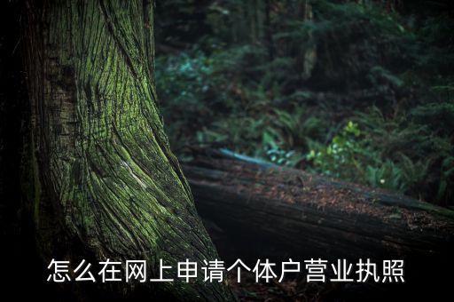 怎么在网上申请个体户营业执照