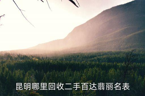 昆明哪里回收二手百达翡丽名表